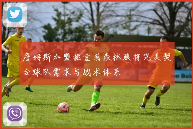 詹姆斯加盟掘金或森林狼将完美契合球队需求与战术体系