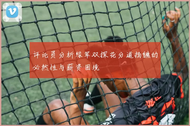 评论员分析绿军双探花分道扬镳的必然性与薪资困境
